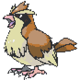 Pidgey