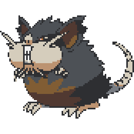 Raticate Alola