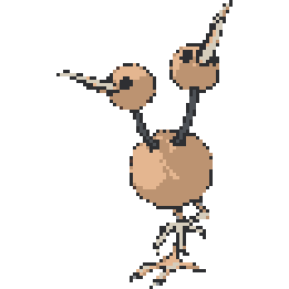Doduo