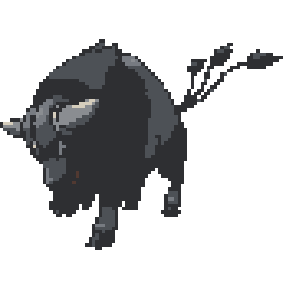 Tauros Paldea Combat
